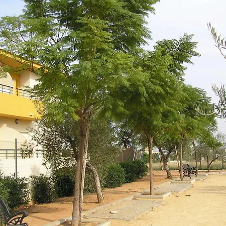 Apartamento Turísticos Los Girasoles *